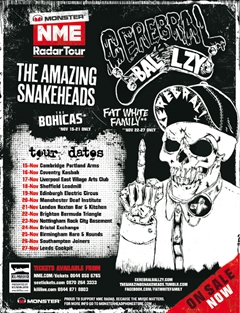 Cerebral Ballzy + The Amazing Snakeheads
